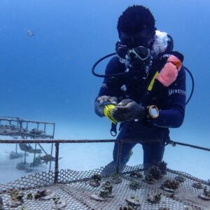diver working on coral
