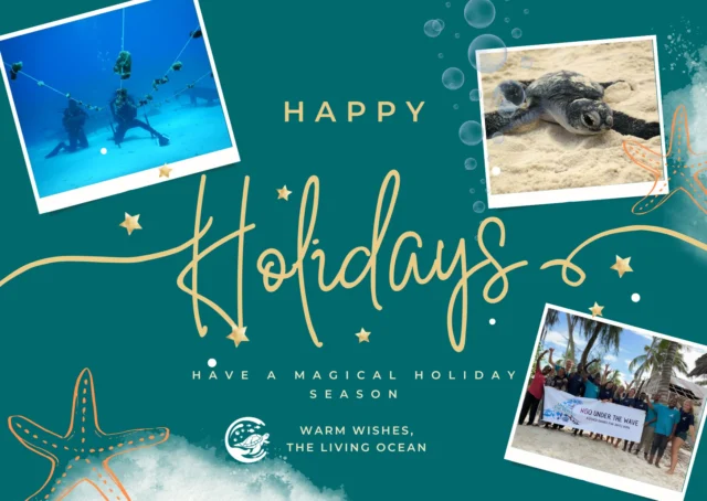 We wish you happy holidays! 🌊

As the year comes to a close, we want to send a heartfelt thank you to our donors, partners and wonderful followers. Your support, trust, and love for the ocean make it possible for us to protect marine life, restore reefs, and support coastal communities who depend on a healthy ocean.

May 2026 be peaceful, hopeful, and full of healthy oceans, strong communities, and lasting protection for marine life 💙✨

— The Living Ocean Team 

#TheLivingOcean #MarineConservation #OceanProtection #HealthyOceans #ReefRestoration #SustainableFuture #CoastalCommunities #ConservationTogether #ProtectMarineLife #OceanLovers #HappyHolidays #NewYear2026