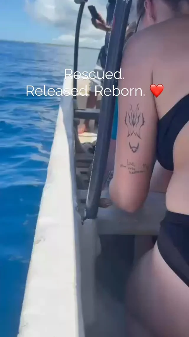 🐢 Another Successful Turtle Release! 🌊

We recently rescued several sea turtles that were stuck in an aquarium under very poor conditions. Together with the Ministry of Blue Economy, @world.unite volunteers, and internship students from @underthewavezanzibar , we released 4 turtles back into their natural home. 🌿

Moments like these remind us why our work matters – giving these incredible creatures a second chance at life and making a real impact on our oceans. 💙

A huge thank you to everyone involved for your dedication, teamwork, and love for marine life. Every effort counts, and this is a perfect example of community and conservation in action. 🐢✨

#SeaTurtleRescue #MarineConservation #UnderTheWave #BlueEconomy #volunteers