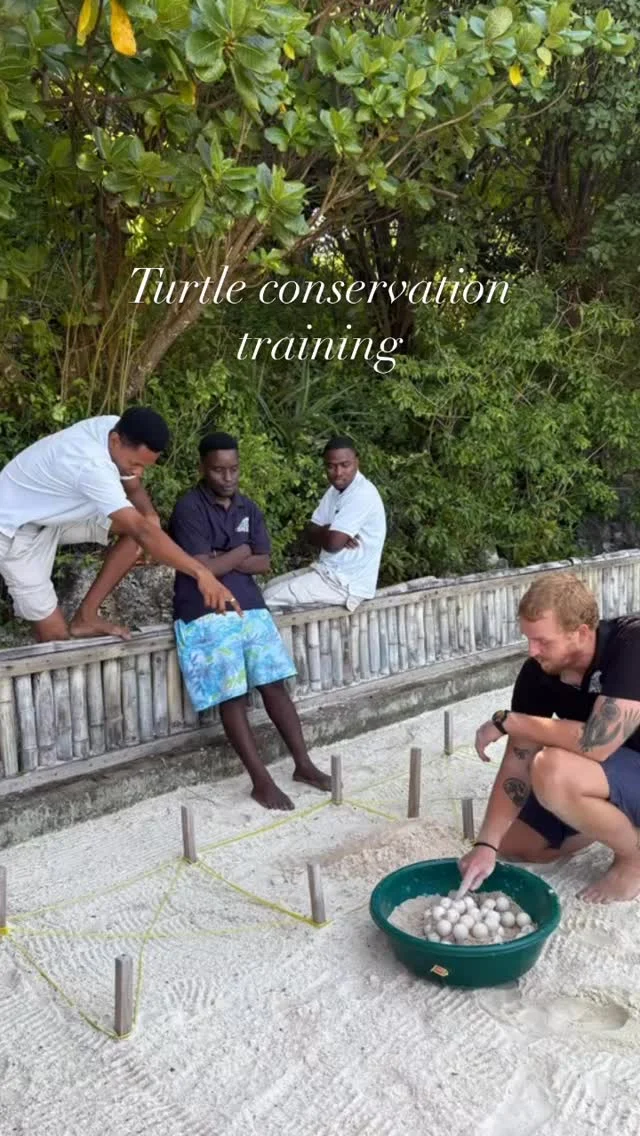 Did you know that we train the guards from Meliá Hotel Zanzibar every week? 🌊🐢

These security guards play an important role in sea turtle conservation. Through regular awareness training with the UTW (Under The Wave) team, they learn how to identify turtle nesting tracks and alert us immediately when a turtle comes ashore.

In Zanzibar, relocating turtle eggs to a protected hatchery is still the best option in many cases. Sadly, natural nests are still at risk of being disturbed or consumed by parts of the local community. By safely moving eggs to our hatchery, we can significantly increase their chances of survival.

This is why awareness matters so much. The more people who are trained, from hotel staff to local communities, the stronger our impact becomes for marine conservation.

Here’s a glimpse of our awareness training with the Meliá team. Every small action counts when it comes to protecting Zanzibar’s turtles. 🐢💙

Do you have a hotel in Zanzibar and would like the Under The Wave team to train your staff? Contact us and let’s work together to protect our marine life. 🌊

#Zanzibar #MarineConservation #SeaTurtles #TurtleConservation #ocean
