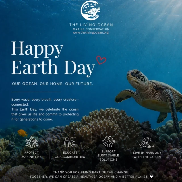 Earth Day 🌍

A moment to reflect on how connected we all are to the ocean.

From our work in Zanzibar to supporting projects on Bonaire, we are committed to protecting marine life and working together with local communities. Because a healthy ocean means a healthy future for all of us.

Want to be part of that impact?

Support our work and help us continue protecting what gives us life 💙
🔗 Donate via the link in our bio
#EarthDay #TheLivingOcean #MarineConservation #ProtectOurOcean #Zanzibar #Bonaire