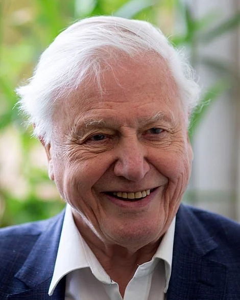 Happy 100th Birthday to David Attenborough 🌍💙

Thank you for dedicating your life to protecting our planet and inspiring people all around the world. Your passion for nature and the ocean continues to motivate so many of us to stand up for marine conservation and protect the beauty of our Earth for future generations. Your voice has truly changed the world.

#DavidAttenborough #HappyBirthday #PlanetEarth #OceanConservation #MarineConservation #ProtectOurPlanet #Nature #Wildlife #Ocean #Conservation #BluePlanet #Inspiration