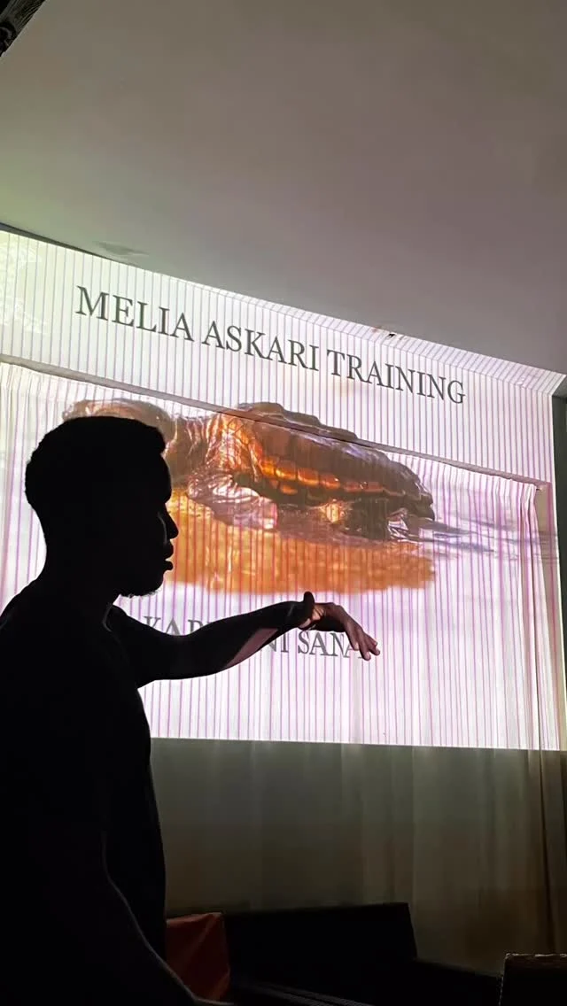 Behind the scenes at our sea turtle conservation training for the guards of Maliá Hotel in Zanzibar 🐢
