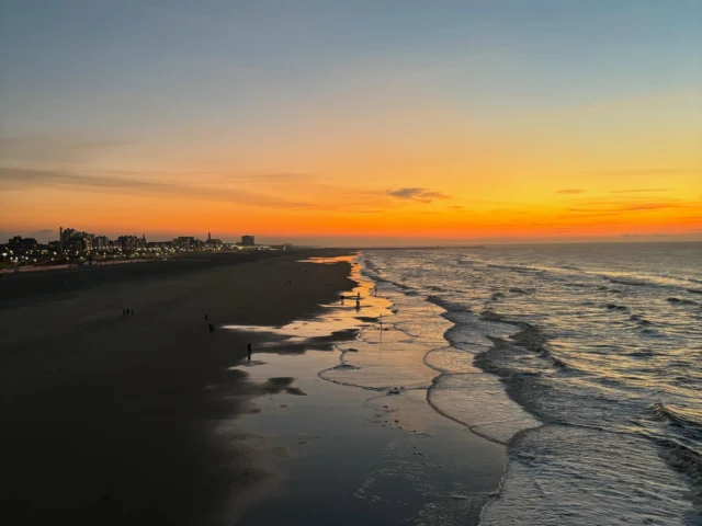 World Ocean Day 2026 🌊🌅

The ocean is more than water stretching beyond the horizon. It is the pulse of our planet, the source of life, and a reminder of how deeply connected we all are.

Every wave carries a story. Every tide reflects the delicate balance that sustains our world. From the smallest plankton to the largest whale, every living thing plays a part in the extraordinary web of life beneath the surface.

Today, on World Ocean Day, we celebrate the beauty, resilience, and wonder of our oceans, and renew our commitment to protect them.

The choices we make today will shape the oceans of tomorrow. Together, we can inspire change, restore what has been damaged, and ensure future generations inherit seas that are vibrant, healthy, and full of life.

At The Living Ocean, we believe that hope grows through action and that every effort, no matter how small, can create ripples that reach far beyond the shoreline.

The ocean connects us all. Let’s be the generation that gives back as much as it receives 💙
 
#worldoceanday #thelivingocean #protectwhatyoulove #oceanconservation #blueplanet