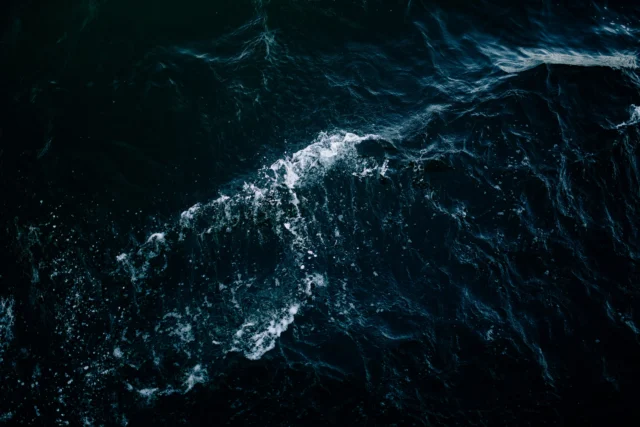 Did you know?🌊😱

We know more about the surface of the Moon and Mars than we do about the deep ocean.

More than 80% of our ocean remains unexplored or unmapped in detail. Hidden beneath the waves are ancient ecosystems, unique species, and natural processes that have been working for millions of years without human interference. 🦑

Not everything needs to be discovered, touched, or changed. Sometimes the most important thing we can do is protect what we do not yet fully understand.

The ocean is full of secrets—and preserving them helps keep our planet’s life-support systems working. 💙

#DidYouKnow #TheLivingOcean #OceanFacts #DeepSea #OceanConservation