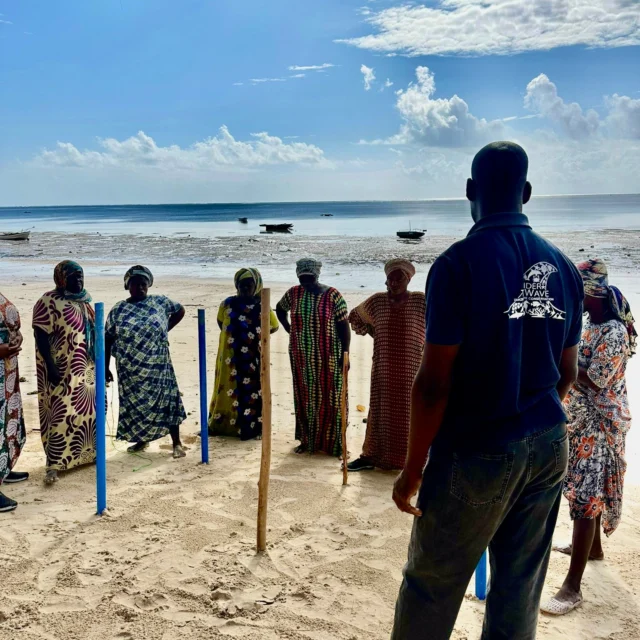🌊 A big shout-out to the AFAS Foundation! 💙

After supporting us in launching our sea cucumber farming project in collaboration with @under_the_wave_zanzibar  in Zanzibar, the @afasfoundation  is supporting us once again to continue developing the sea cucumber farm in Kiwengwa as part of our "Women’s Empowerment Program". 🙏

We are incredibly proud and grateful for the trust AFAS Foundation has placed in us. Their continued support gives us the opportunity to build on what we have learned from the initial set-up, strengthen the project, and work towards making this initiative a long-term success.

This next phase is supported by our new marine biologist, Yohanna, together with Casper, our Senior Marine Biologist, and Mr. Makame, our Community Manager. With their combined knowledge, experience and dedication, we are excited to take the project to the next level. 🌱🌊

Creating alternative sources of income is an important part of our work. Through the sea cucumber farm, women in Kiwengwa have the opportunity to actively manage their own small-scale farming activities and generate an income for themselves and their families.

In Zanzibar, where women can face limited opportunities to access independent income, we believe that creating sustainable livelihoods can make a real difference, not only economically, but also by strengthening confidence, skills and independence within the community. 💪🏽

This is more than a sea cucumber farm. It is about "creating opportunities, building knowledge, empowering women and developing sustainable livelihoods while protecting our marine environment." 🌊💙

Thank you, AFAS Foundation, for believing in our work and helping us turn this project into something that can create lasting impact.

👀 Follow us to see how this project develops over the coming months and join us on this journey!

Together, we can make waves. 🌊

#AFASFoundation #UnderTheWave #TheLivingOcean #Zanzibar #WomenEmpowerment #SeaCucumberFarm #SustainableLivelihoods #BlueEconomy #MarineConservation #CommunityEmpowerment #SustainableDevelopment #ZanzibarCommunity #MakingWaves